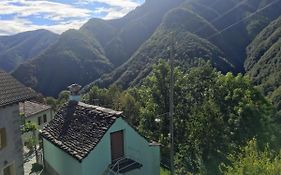 Wild Valley Rusticino